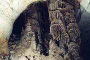 Photo: Kickapoo Cavern State Park