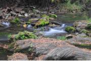 Photo of Honey Creek State Natural Area