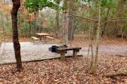 Photo: P038, CREEKSIDE